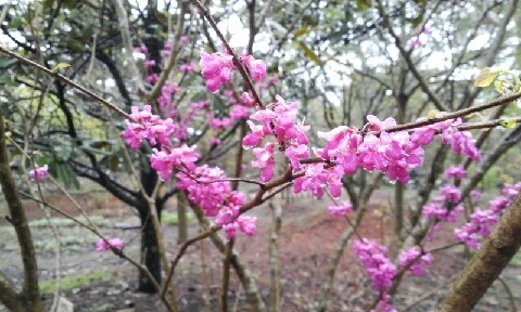 20160407_1047595.jpg?type=w773