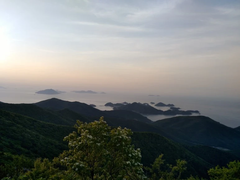 IMG_20180505_055151.jpg?type=w773