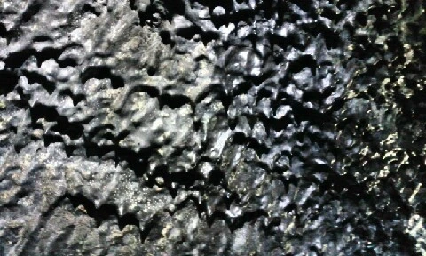 C360_2016-04-09-12-17-46-607.jpg?type=w773