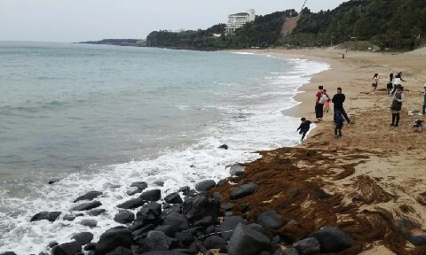 20160418_1123591.jpg?type=w773