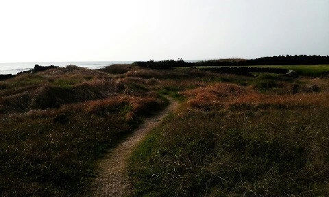 C360_2016-04-11-17-05-01-801.jpg?type=w773