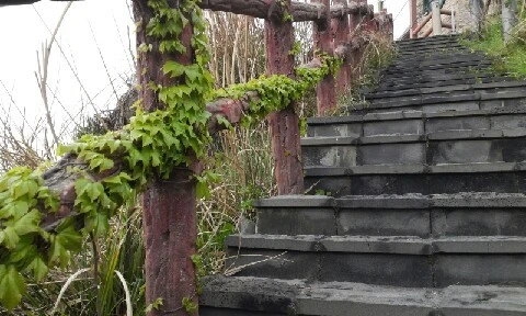 20160405_1729022.jpg?type=w773