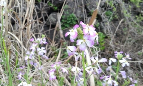 20160406_1424543.jpg?type=w2