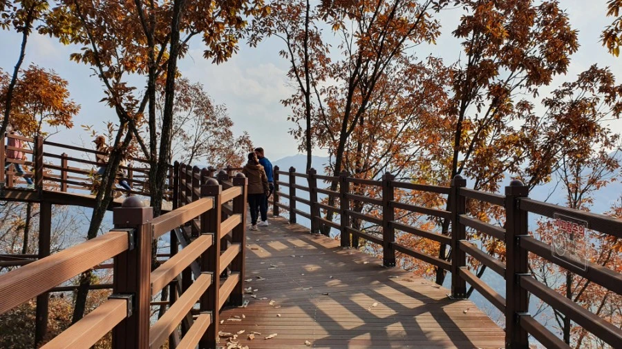 1604747930751%25EF%25BC%258D5.jpg?type=w1