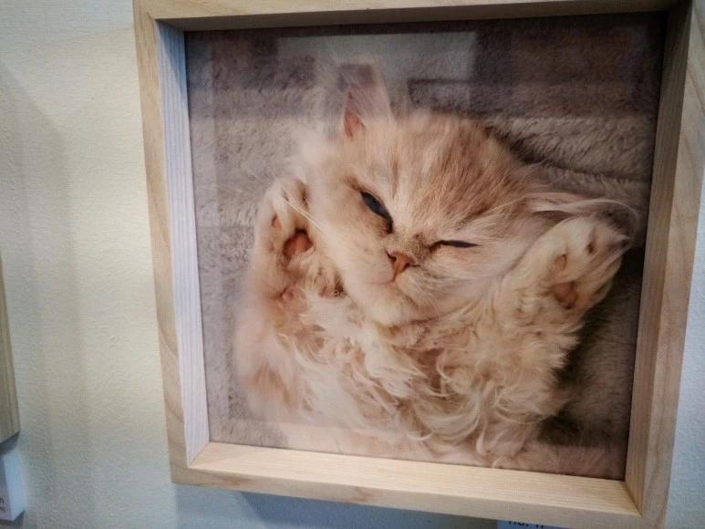 IMG_20170902_123014.jpg?type=w773