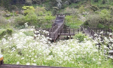 20160418_1101549.jpg?type=w773