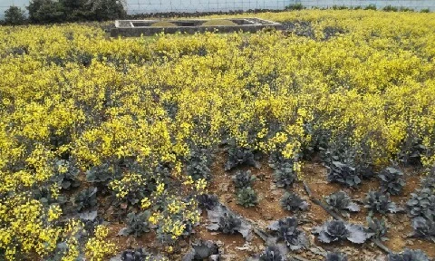 20160420_1257408.jpg?type=w773