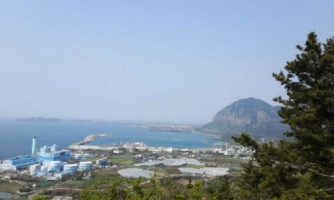 20160419_1048138.jpg?type=w773