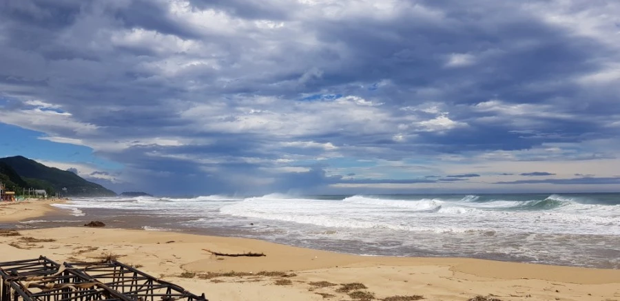 1599230402161.jpg?type=w1