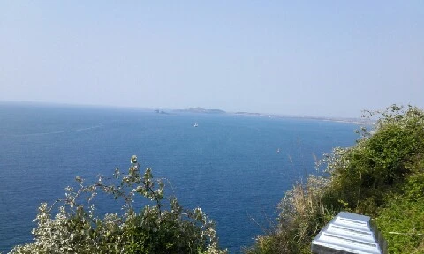 20160419_1011454.jpg?type=w773