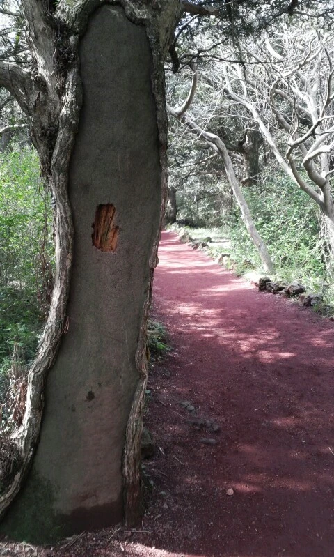 C360_2016-04-09-10-19-34-232.jpg?type=w773