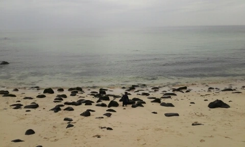 20160406_1423293.jpg?type=w2