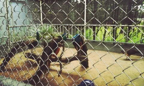 C360_2016-04-07-11-48-58-033.jpg?type=w773