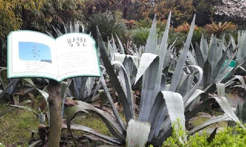 20160407_1021092.jpg?type=w773