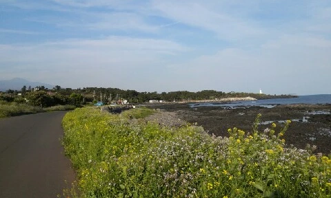 20160418_1732014.jpg?type=w773