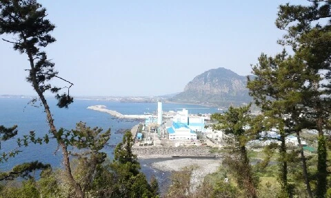 20160419_1019036.jpg?type=w773