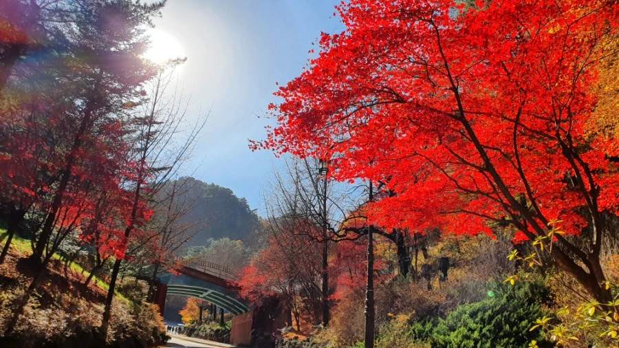 1604840420468%25EF%25BC%258D18.jpg?type=w1