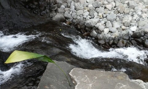 20160415_1801081.jpg?type=w773