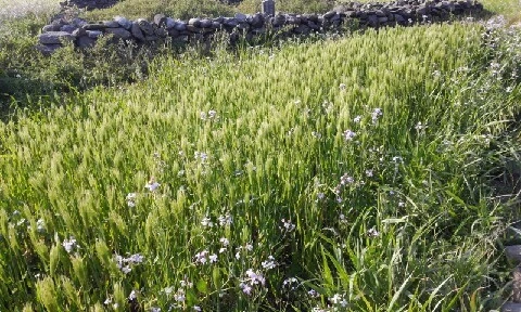 20160419_1659015.jpg?type=w773