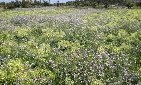 20160419_1002386.jpg?type=w773