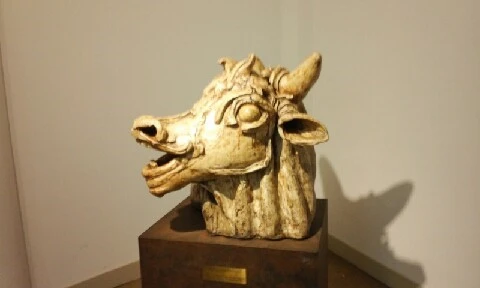 20160416_1039217.jpg?type=w773