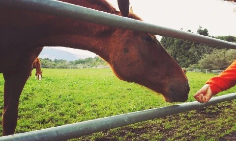 C360_2016-04-07-17-25-14-097.jpg?type=w773