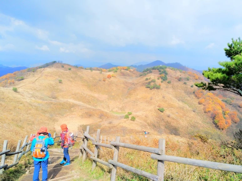 IMG_20171022_121912.jpg?type=w773