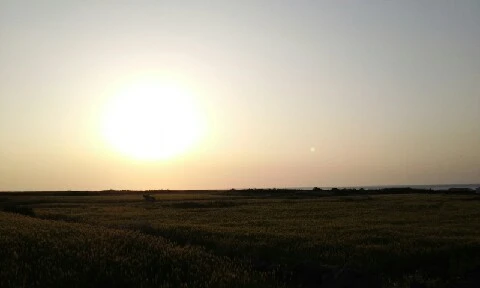 20160419_1826519.jpg?type=w773