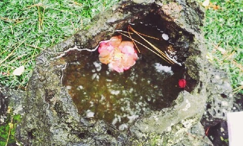 C360_2016-04-07-11-38-45-227.jpg?type=w773