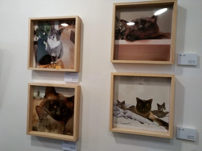 IMG_20170902_123151.jpg?type=w773