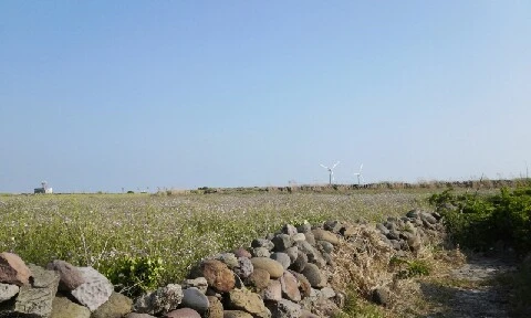 20160419_1632486.jpg?type=w773