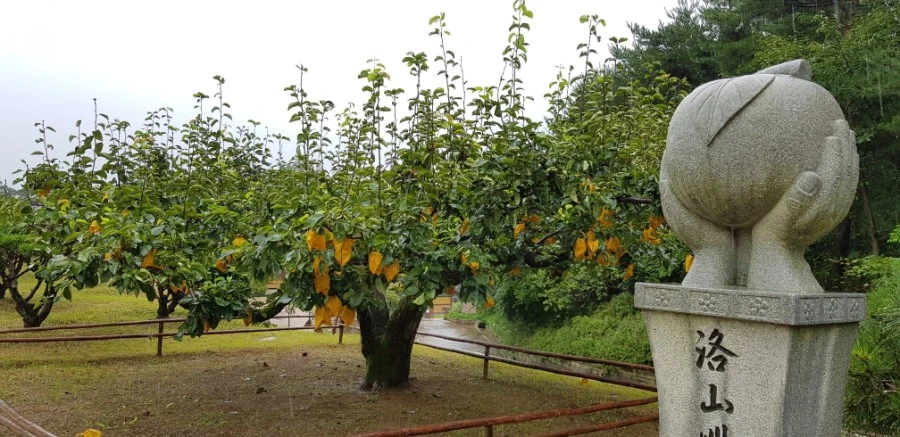 1599230196604.jpg?type=w1