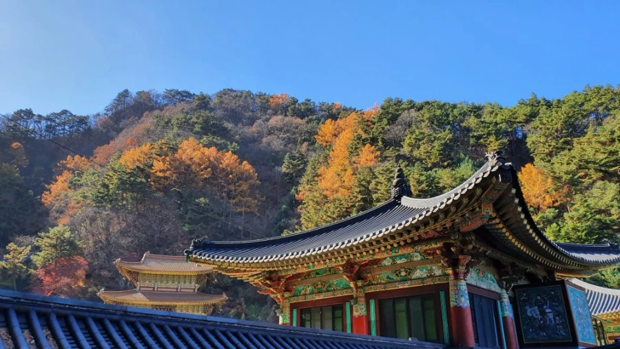 1604840420468%25EF%25BC%258D27.jpg?type=w1