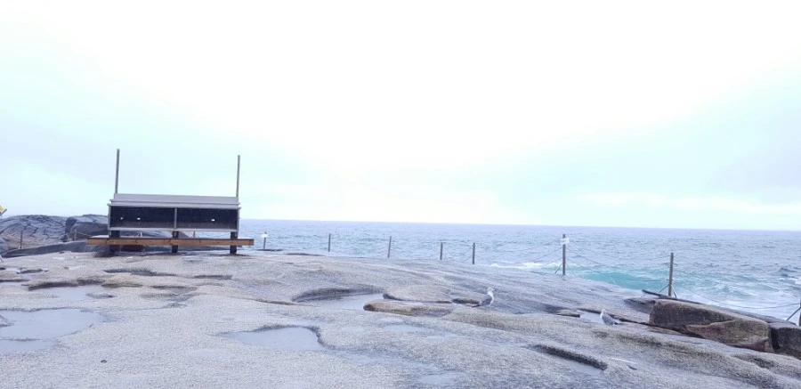 1599230205086.jpg?type=w1