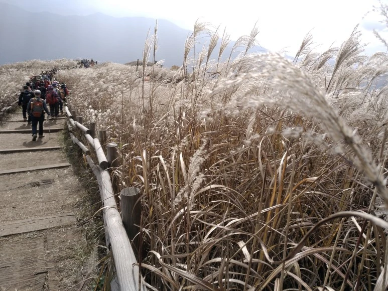 IMG_20171022_123210.jpg?type=w773