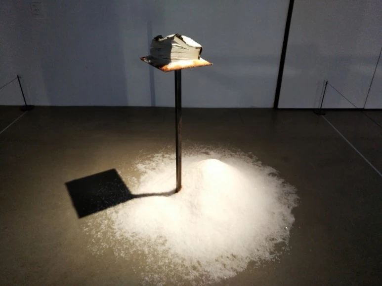 IMG_20170826_181153.jpg?type=w773