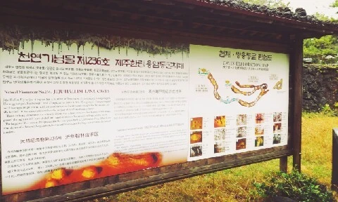 C360_2016-04-07-11-03-39-079.jpg?type=w773