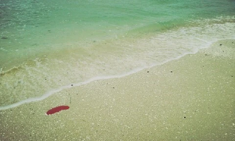 C360_2016-04-07-12-25-38-233.jpg?type=w773