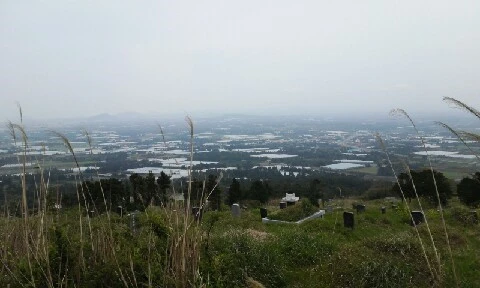 20160420_1155157.jpg?type=w773