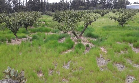 20160420_1315459.jpg?type=w773