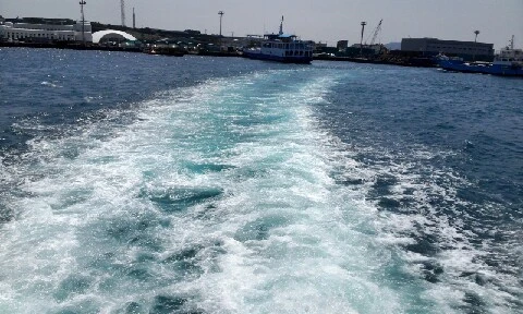 C360_2016-04-08-12-54-41-064.jpg?type=w773