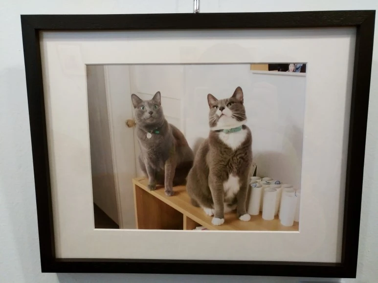 IMG_20170902_123200.jpg?type=w773