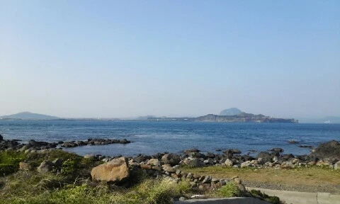 20160419_1716095.jpg?type=w773