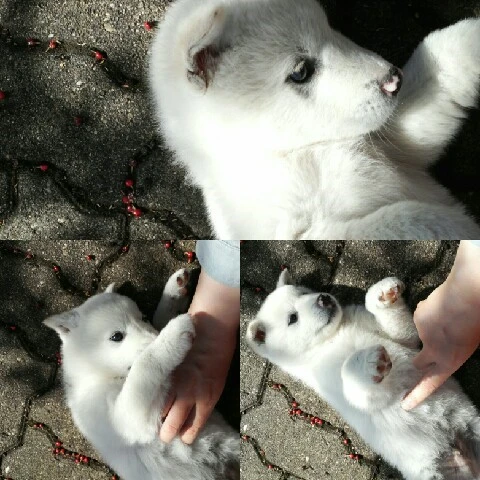 IMG_20160417_121050.jpg?type=w773