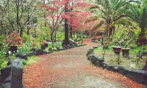 C360_2016-04-07-11-30-09-086.jpg?type=w773