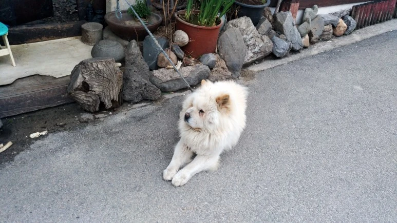 IMG_20170409_184651.jpg?type=w773