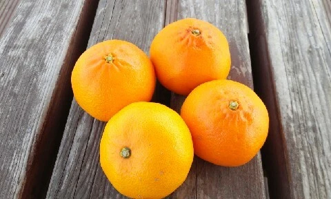 20160417_1010162.jpg?type=w773