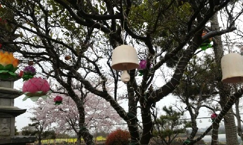 20160406_1625022.jpg?type=w773