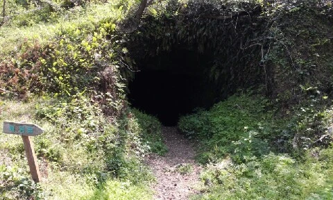 20160419_1101428.jpg?type=w773