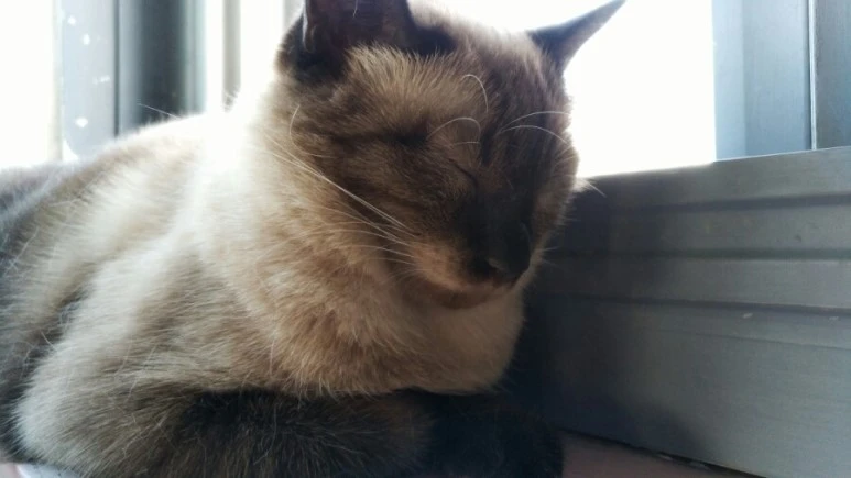 IMG_20170603_183919.jpg?type=w773